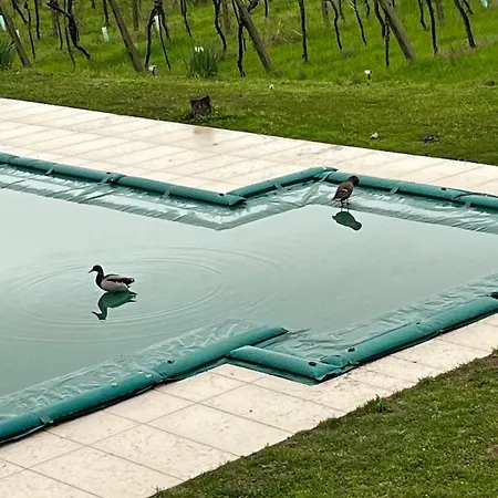 ファームステイ Al Dugale *