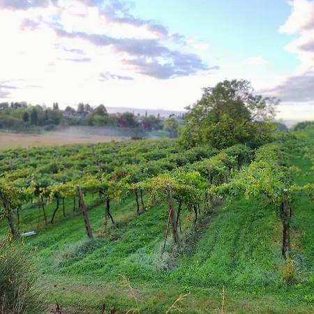 Alloggio per agriturismo Al Dugale Lazise