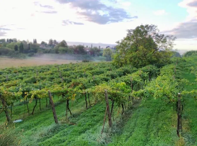 Bauernhof Al Dugale Lazise